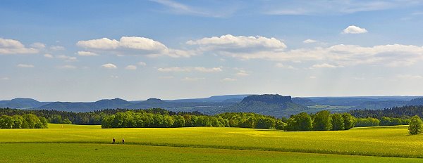 Sächsische Schweiz Hügellandschaft